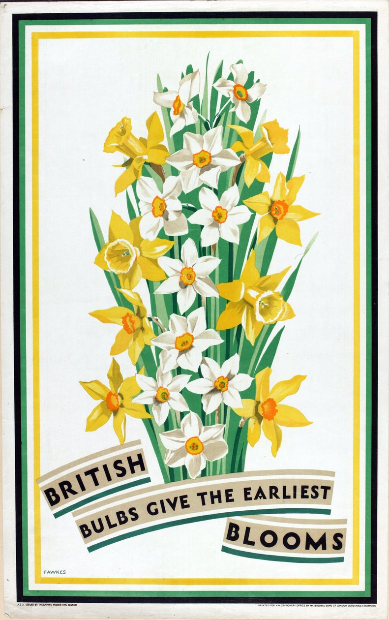 'British Bulbs for Home Gardens' serisinden İngiliz Soğanları En Erken Çiçek Açar (renkli litho) by Fawkes Fawkes