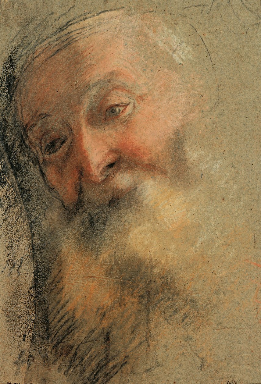 Yaşlı Sakallı Bir Adamın Başı, 1584-1586 by Federico Barocci