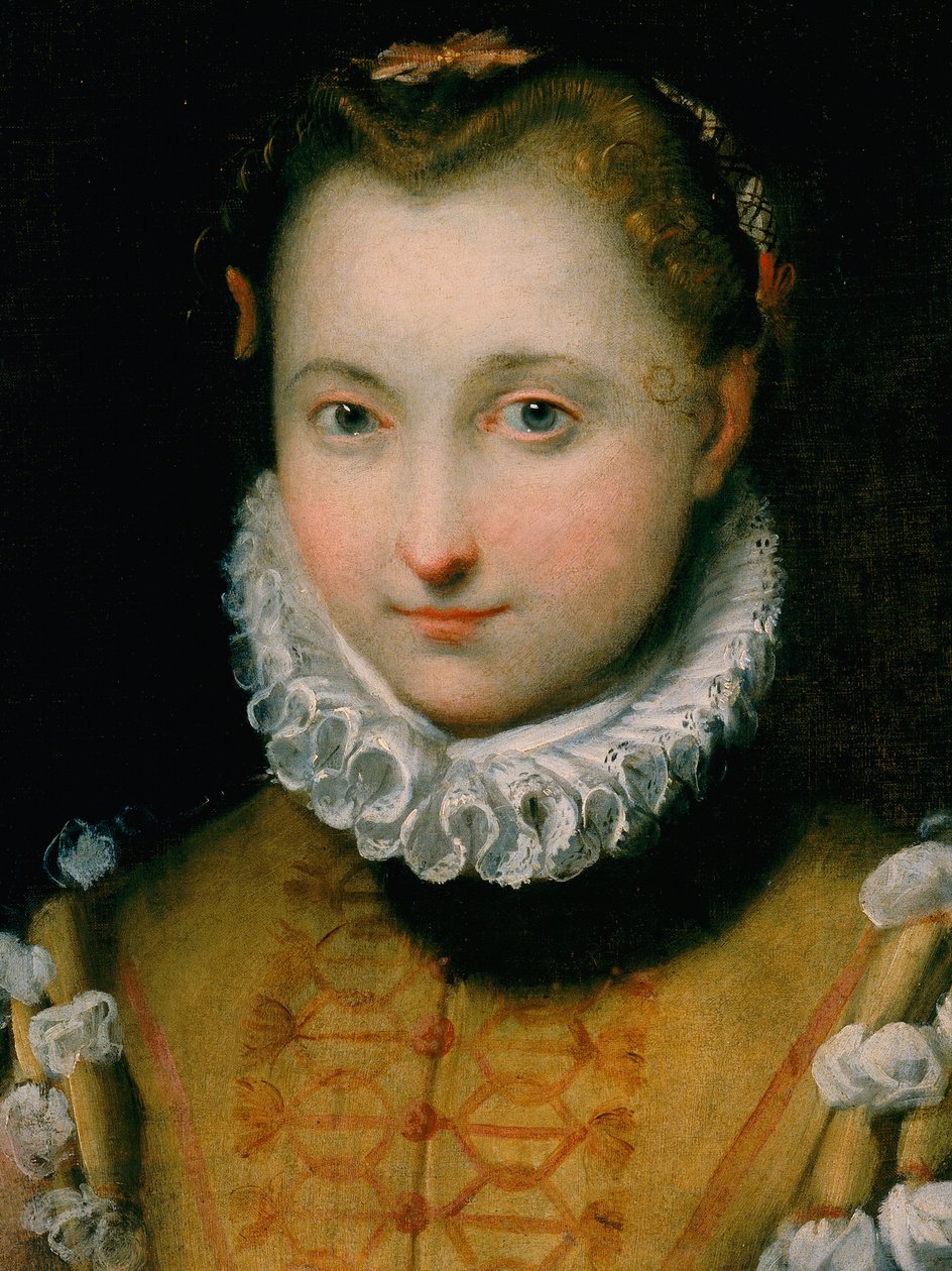 genç bir kadın portresi by Federico Fiori Barocci or Baroccio