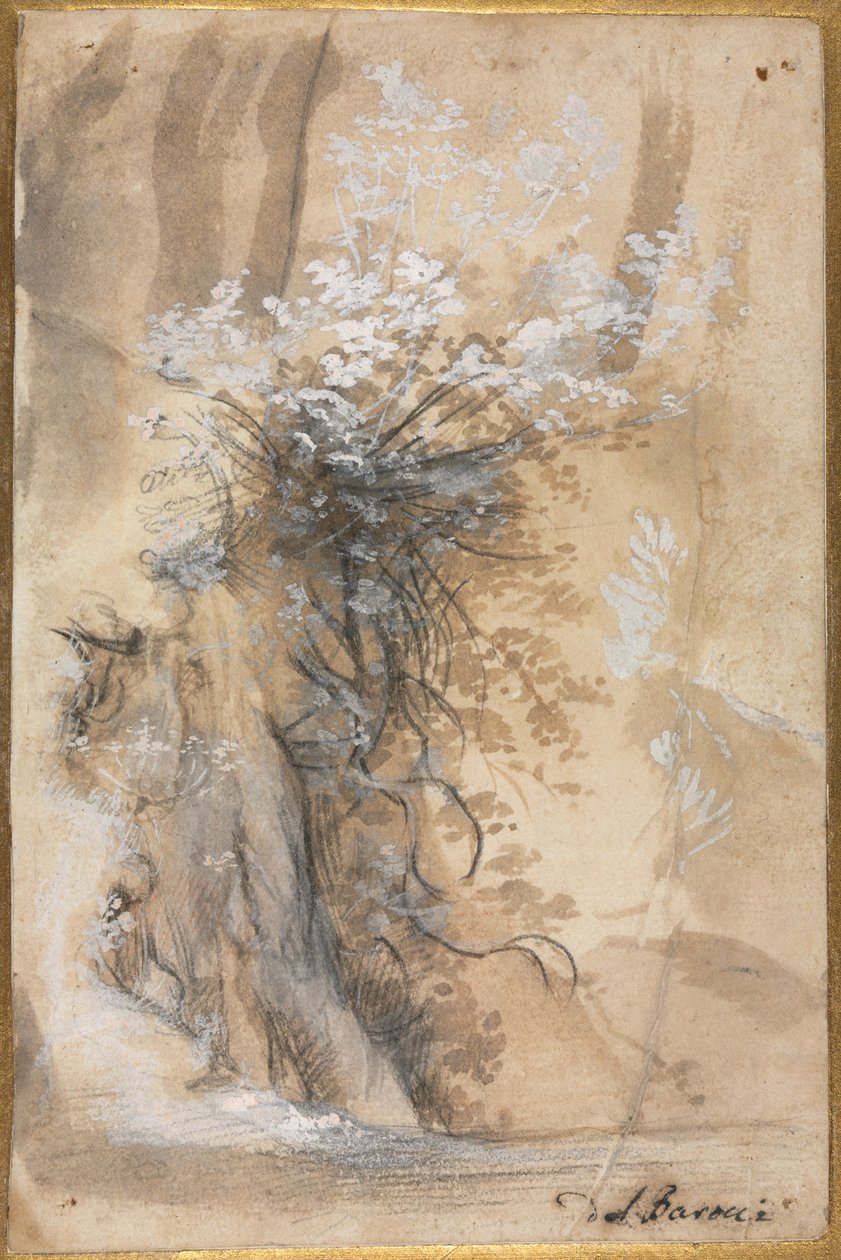 Aşınmış bir bankanın üzerinde çiçek açan çalı by Federico Barocci