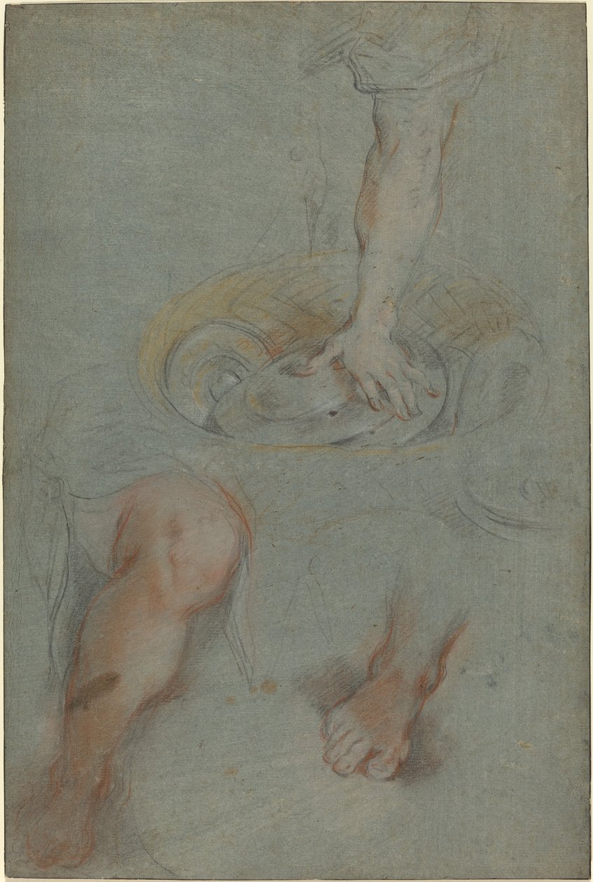 "Son Akşam Yemeği"nde Bir Hizmetçi İçin Çalışmalar by Federico Barocci