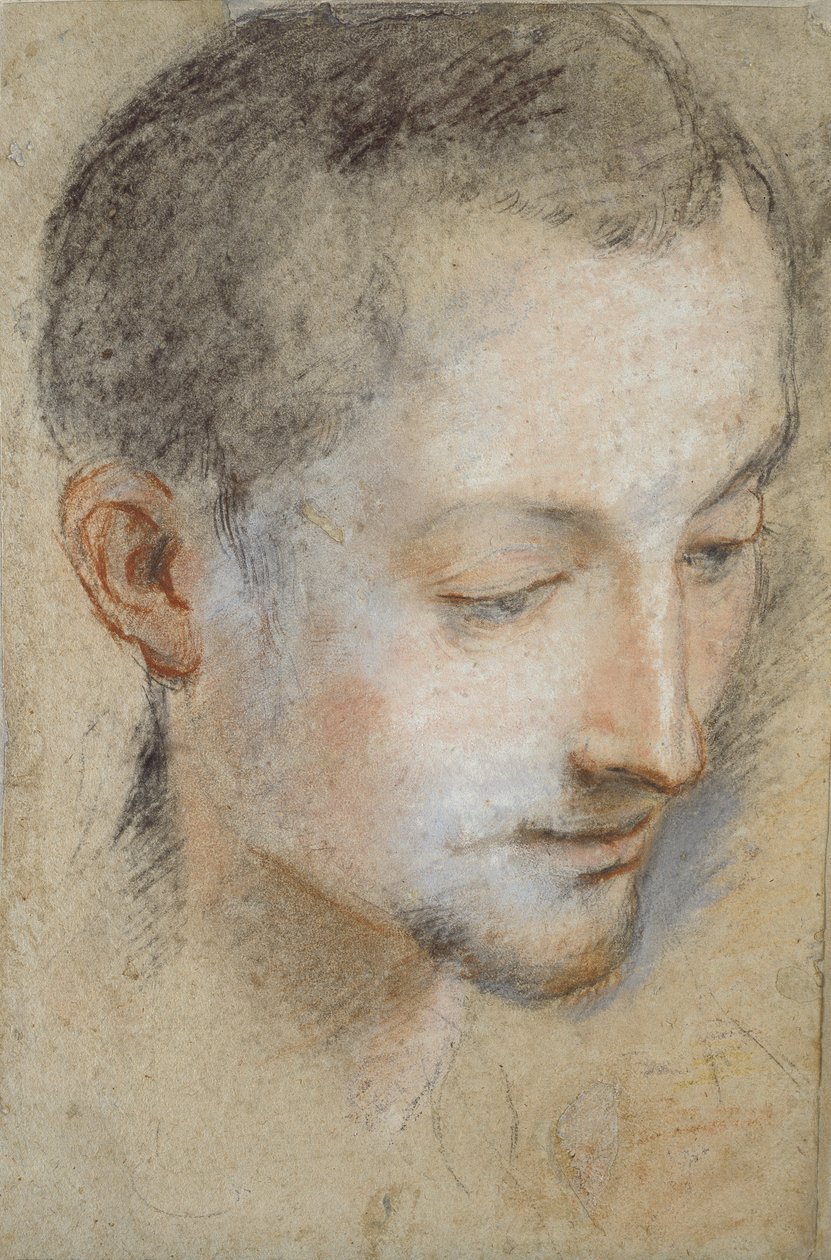 16. yüzyılın sonlarında genç bir adamın kafasının incelenmesi by Federico Barocci