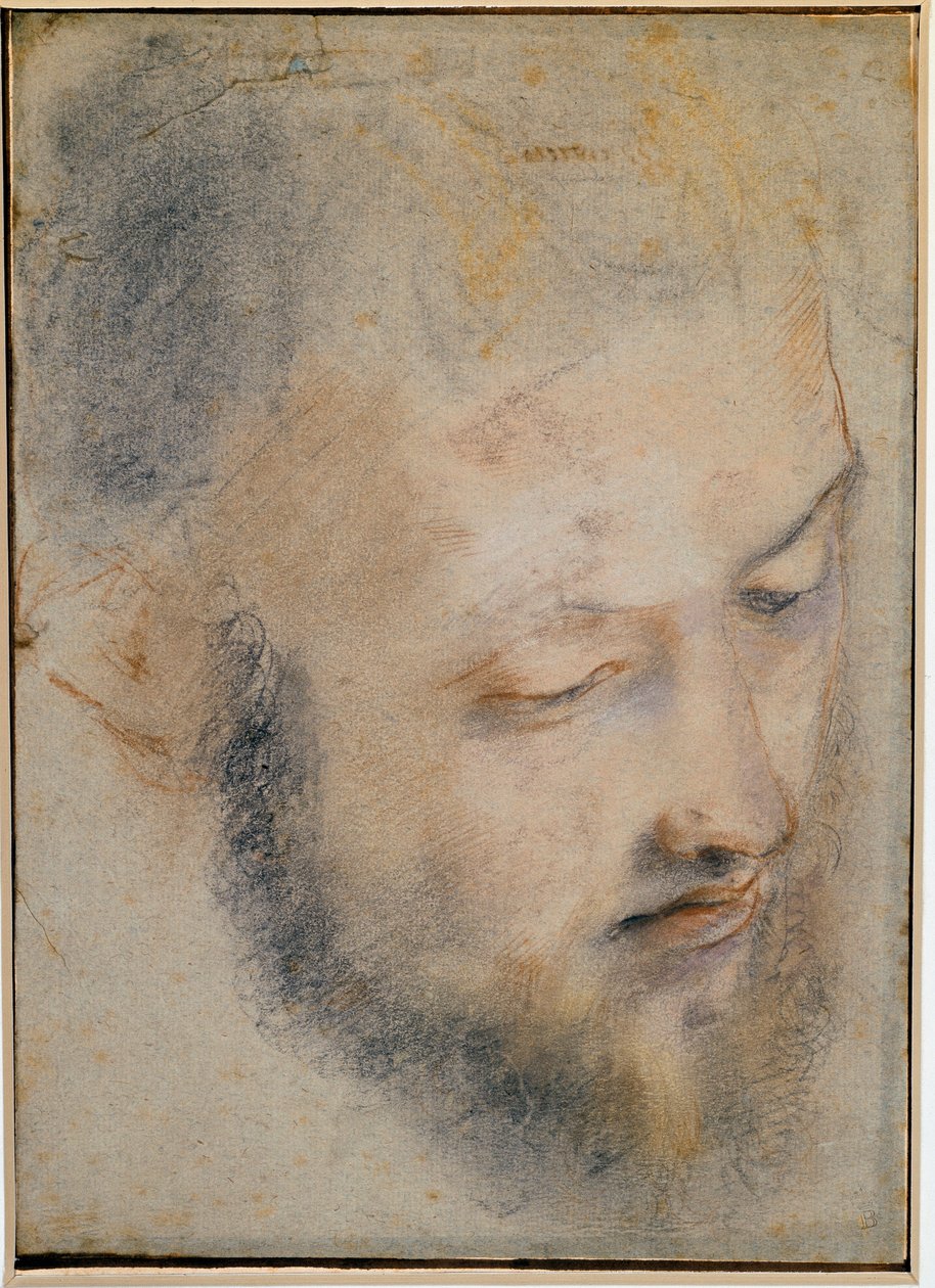 Barocci