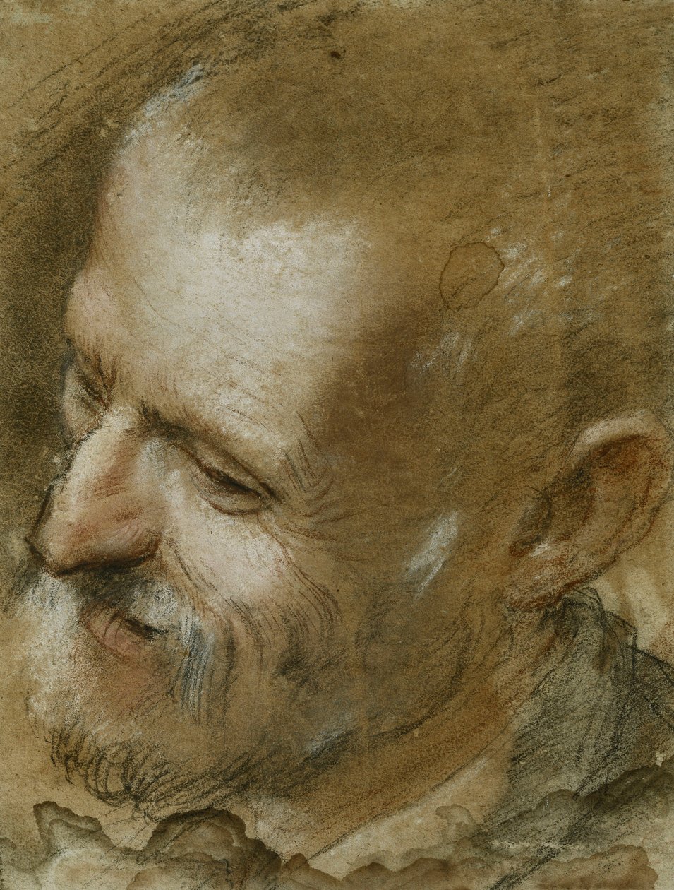 Sola Dönmüş Sakallı Bir Adamın Başının İncelenmesi, 1590 by Federico Fiori Barocci or Baroccio