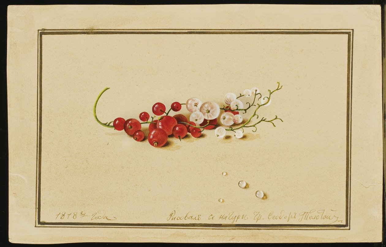 Kırmızı ve Beyaz Kuş üzümü, 1818 by Fedor Petrovich Tolstoy