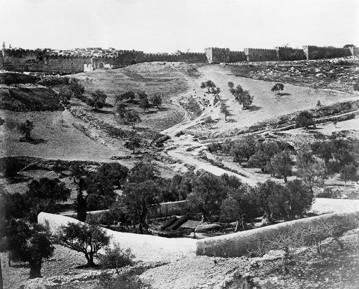 Getsemani Bahçesi, 1857 by Felice Beato