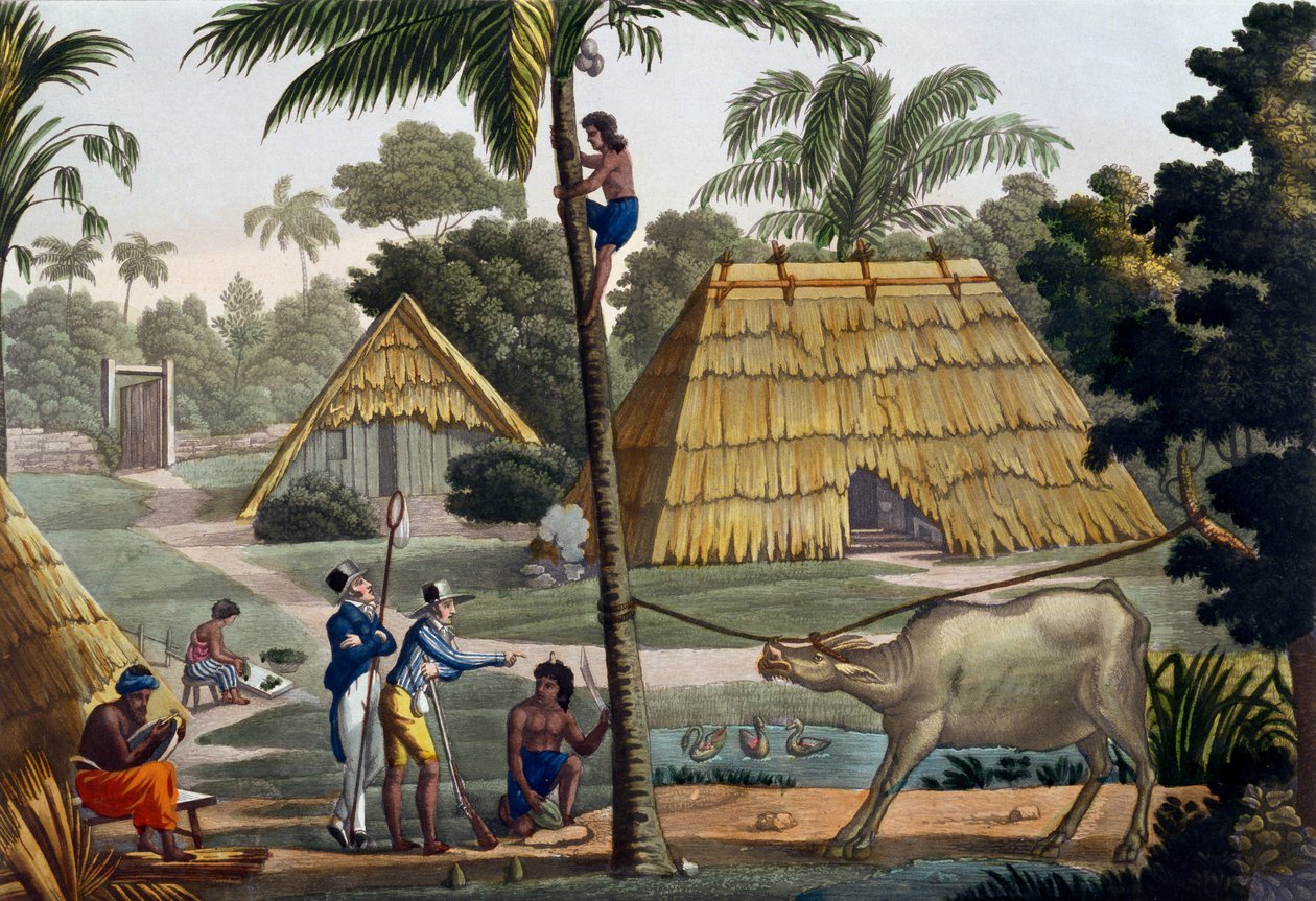 Doğa bilimcileri, Kupang, Timor yakınlarındaki yerlileri sorguluyor, Jules Ferrario'nun 'Le Costume Ancien et Moderne' kitabından 7. levha, 1820'ler-30'lar arasında yayınlandı by Felice Campi