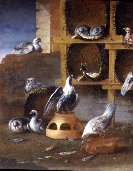Kümeslerindeki Güvercinler by Felice (school of) Boselli