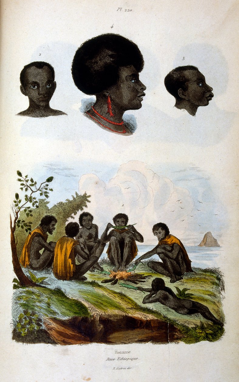 Etiyopya Irkını tasvir eden antropolojik illüstrasyon by Felix-Edouard Guerin