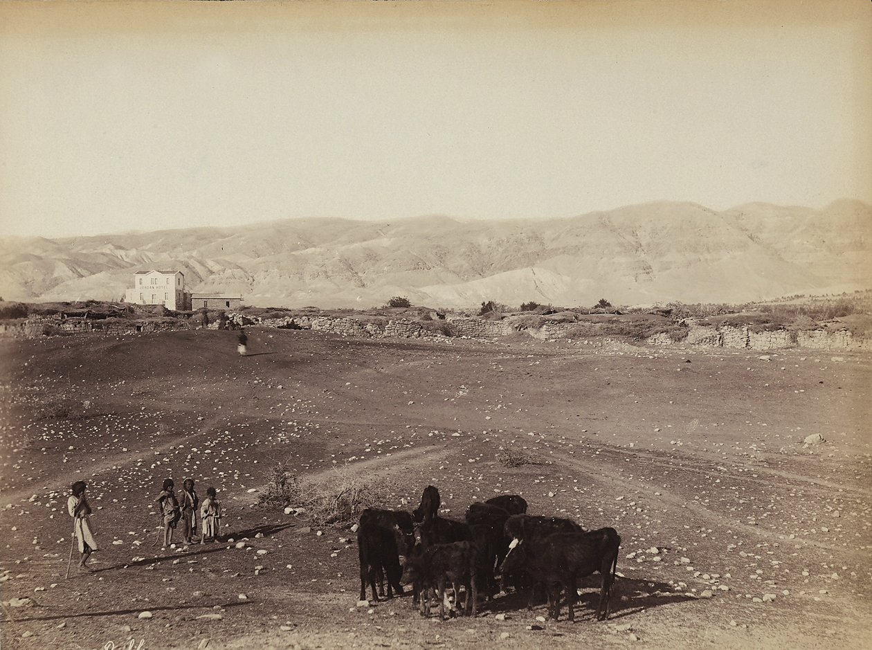 Mısır