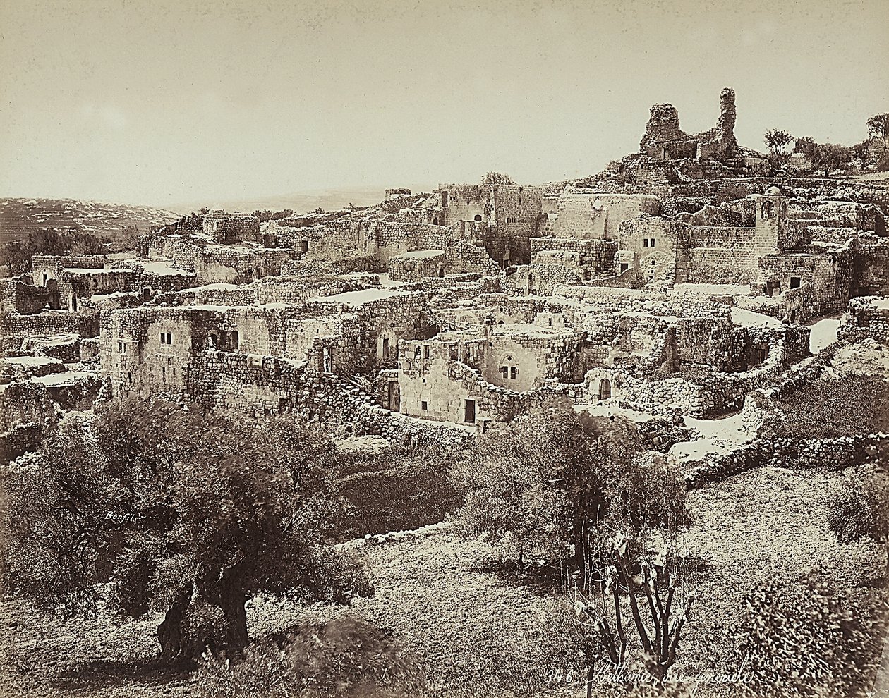 Zeytin Dağı