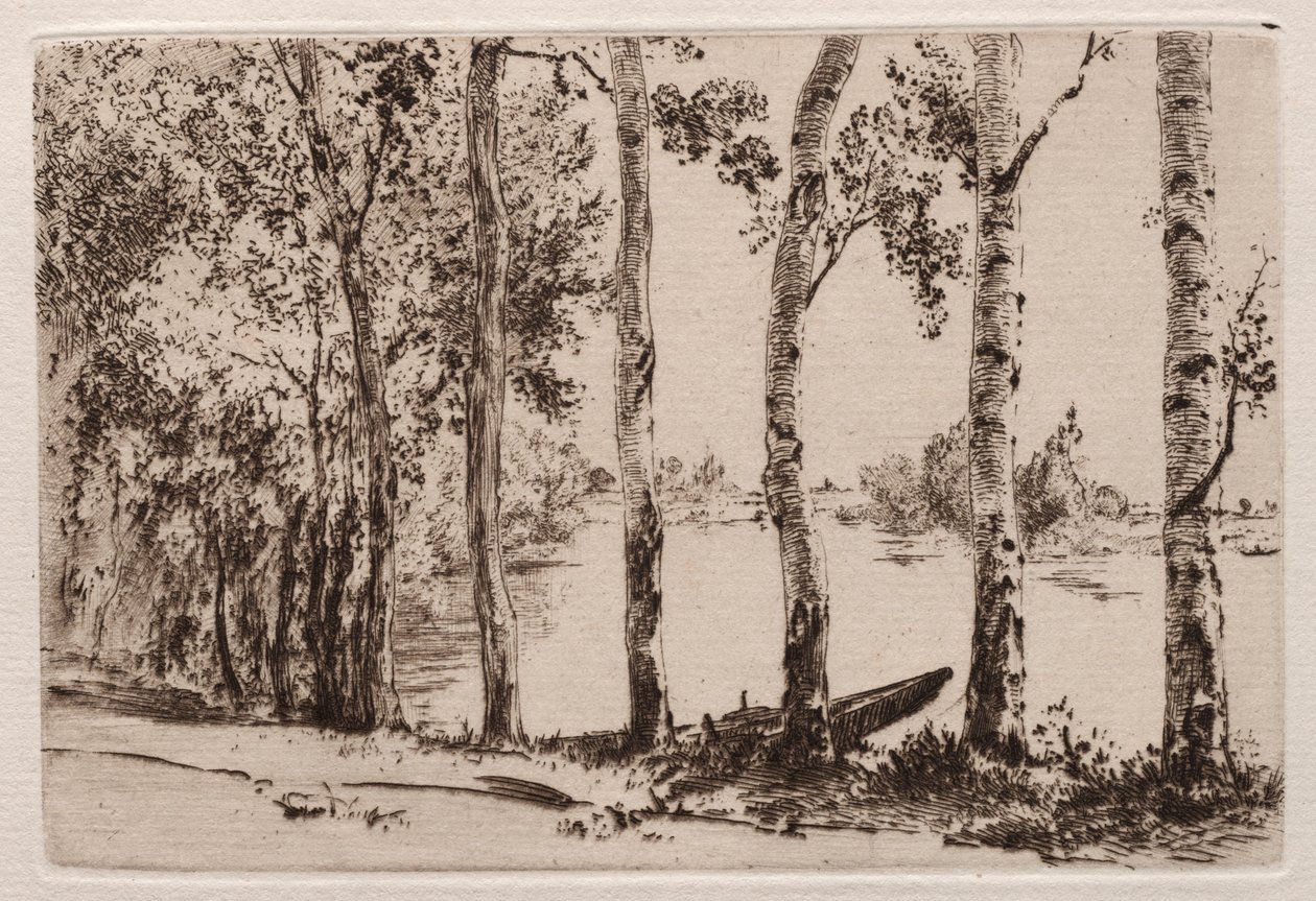 Seine kıyısında Aspens by Felix Bracquemond