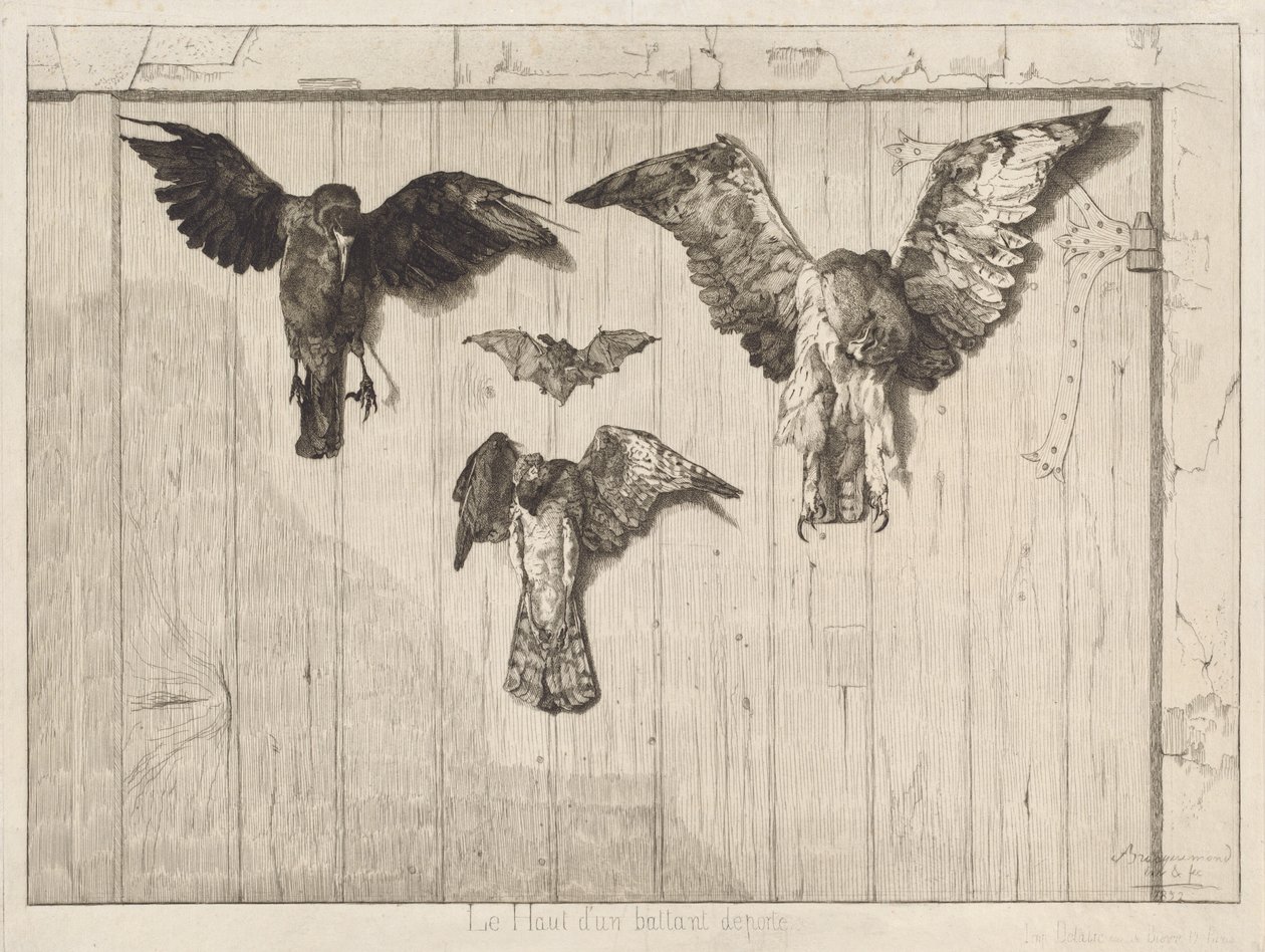 Ahır Kapısına Çivilenmiş Kuşlar by Felix Bracquemond