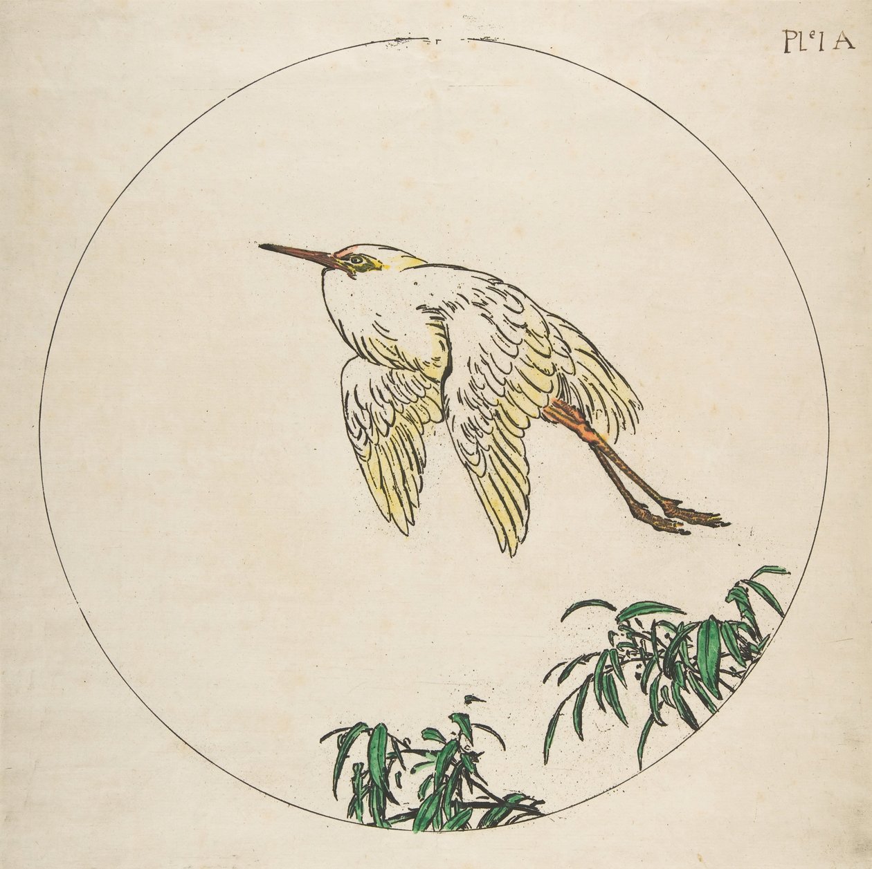 Tabak Dekorasyonu: Bambu Dallarının Üzerinde Uçan Bir Ak balıkçıl, 1850-1914. by Felix Bracquemond