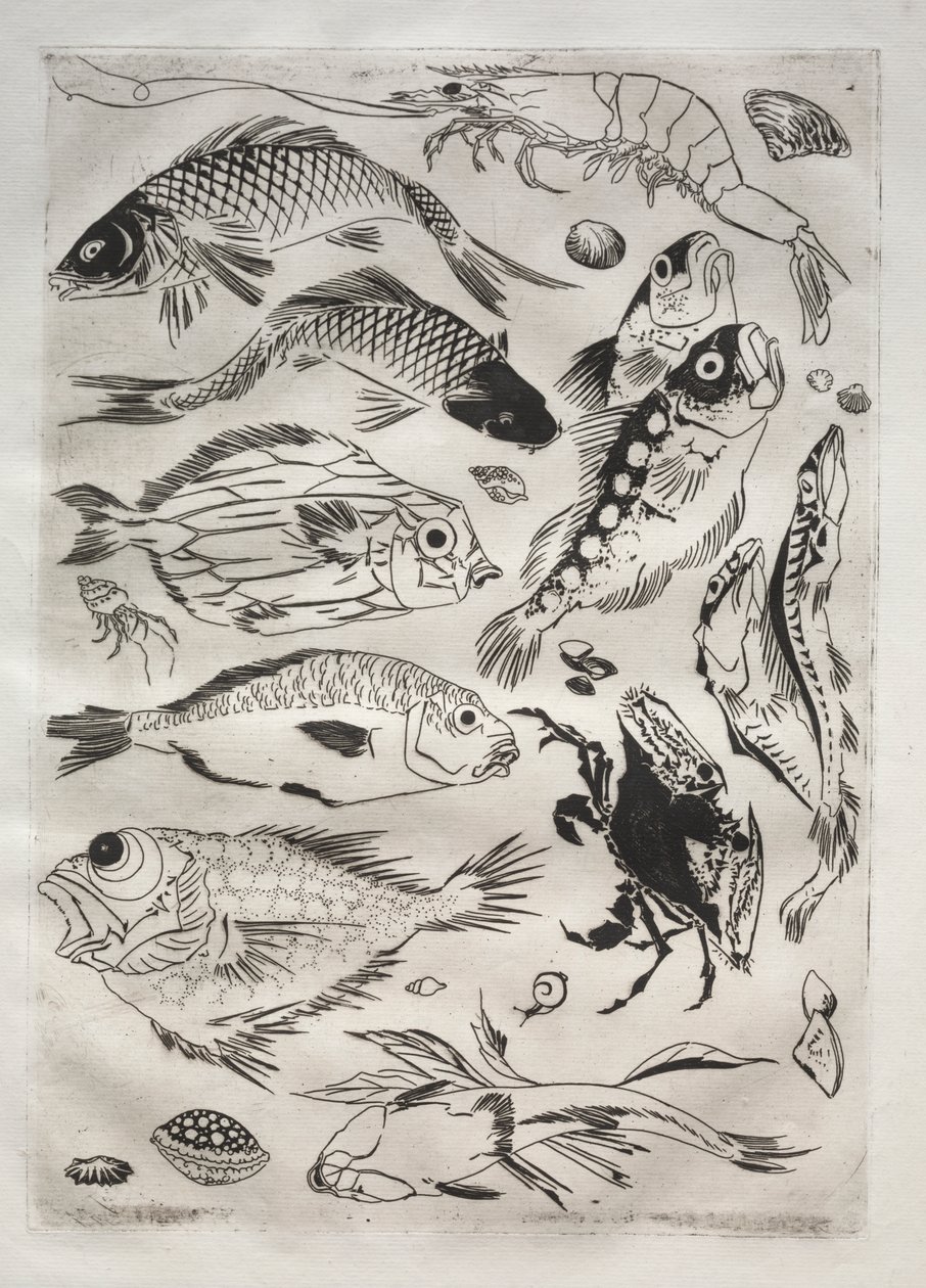 Akşam Yemeği Servisi (Rousseau servisi): Balık (no. 24) by Felix Bracquemond