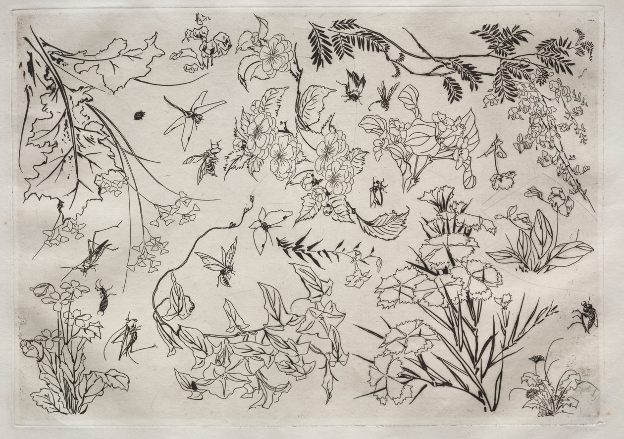Akşam Yemeği Servisi (Rousseau servisi): Çiçekler (no. 22) by Felix Bracquemond