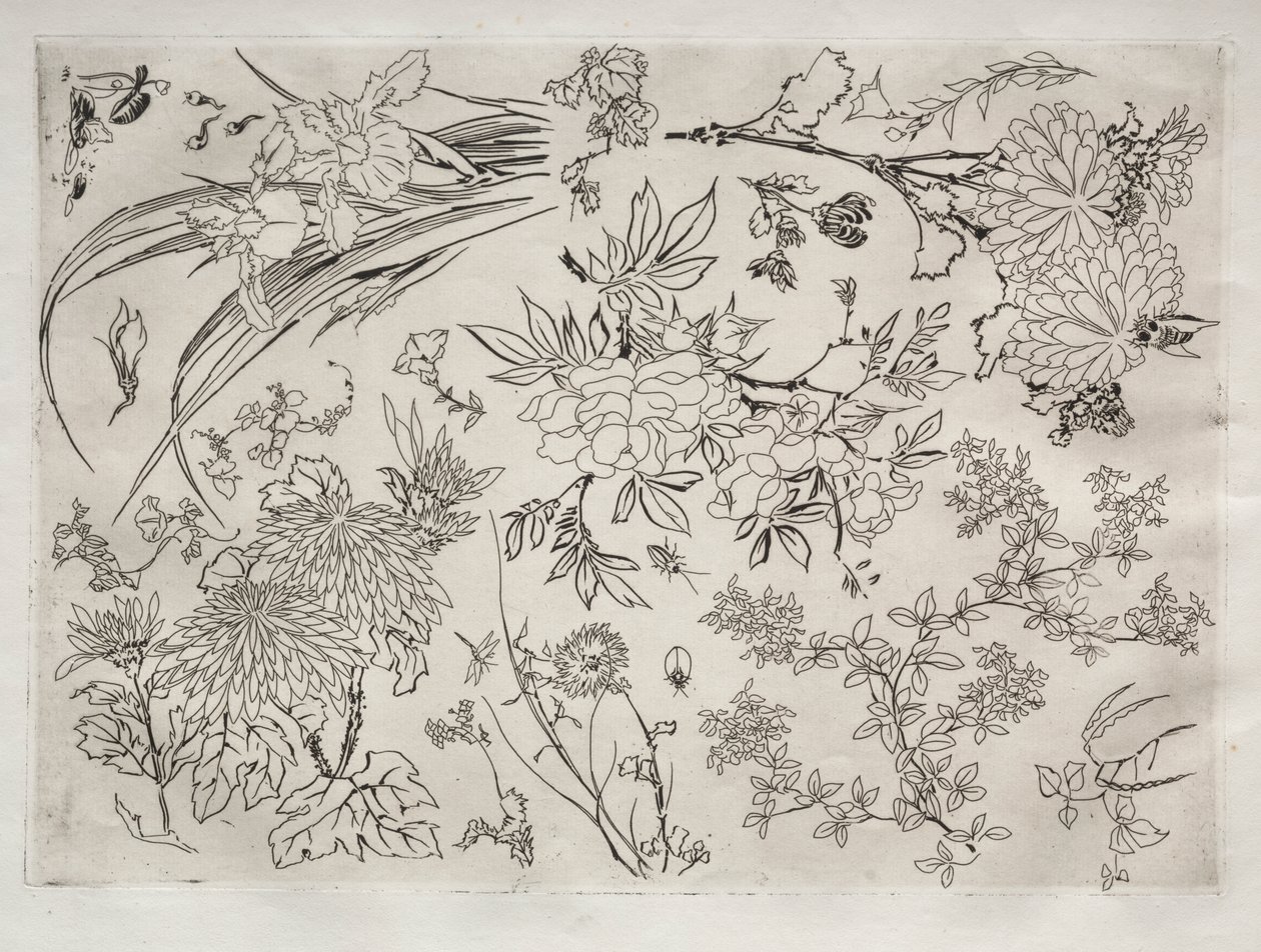 Akşam Yemeği Servisi (Rousseau servisi): Çiçekler (no. 23) by Felix Bracquemond