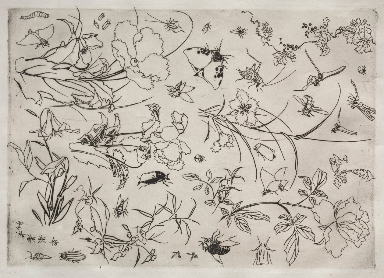 Akşam Yemeği Servisi (Rousseau servisi): Çiçekler ve Böcekler (no. 15) by Felix Bracquemond