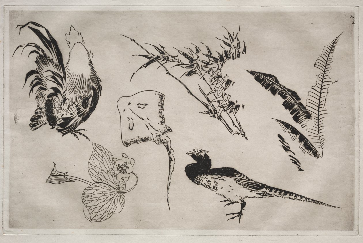 Akşam Yemeği Servisi (Rousseau servisi): Horozlar, paten, bitkiler vb. (no. 9) by Felix Bracquemond