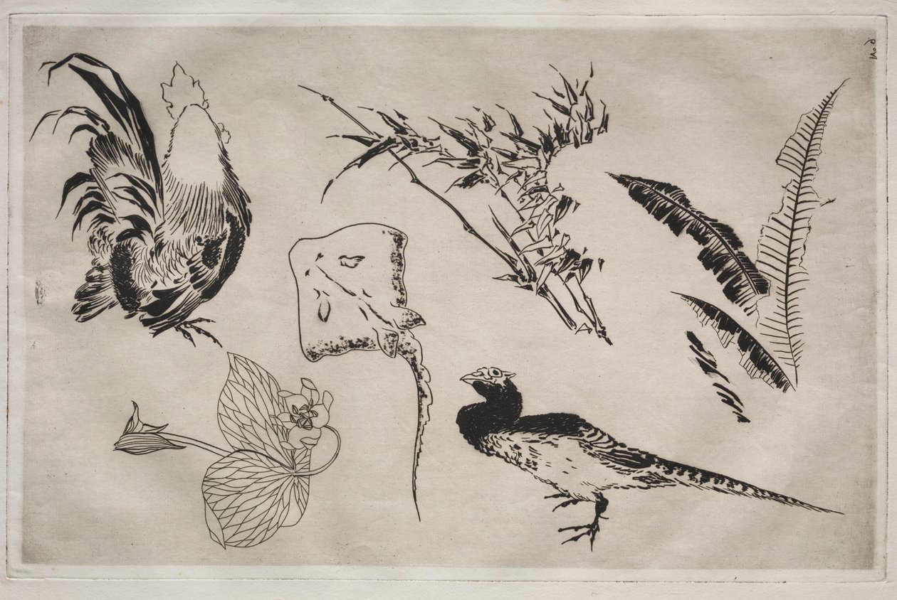 Akşam Yemeği Servisi Rousseau servisi: Horoz, paten, bitki vs. no. 9, 1866. by Felix Bracquemond