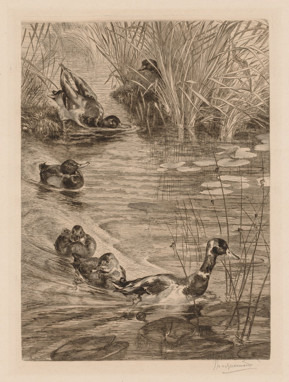 Oyundaki ördekler, c. 1870. by Felix Bracquemond