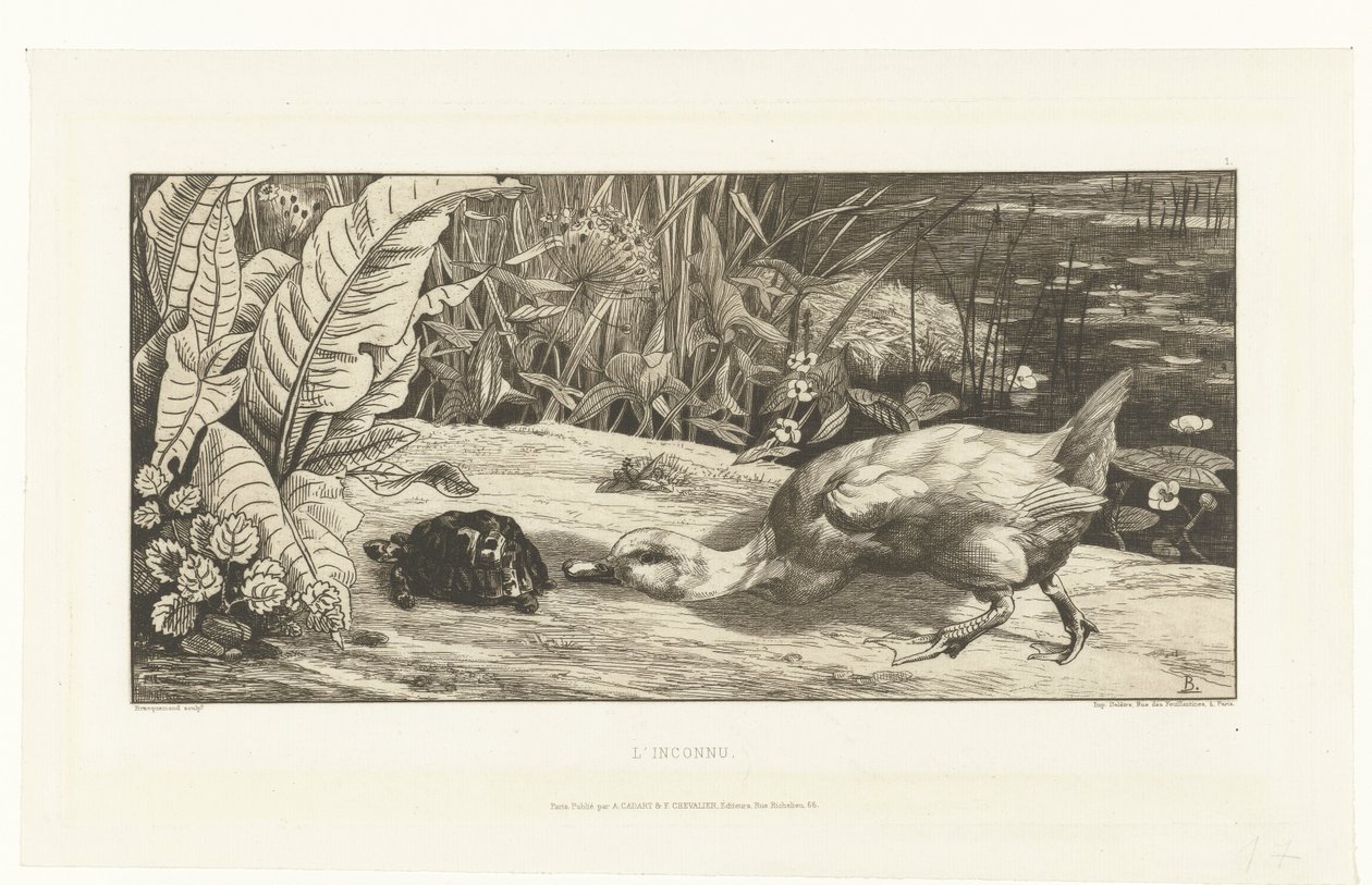 L'Inconnu hendek kıyısında ördek ve kaplumbağa (nesnedeki başlık) by Felix Bracquemond