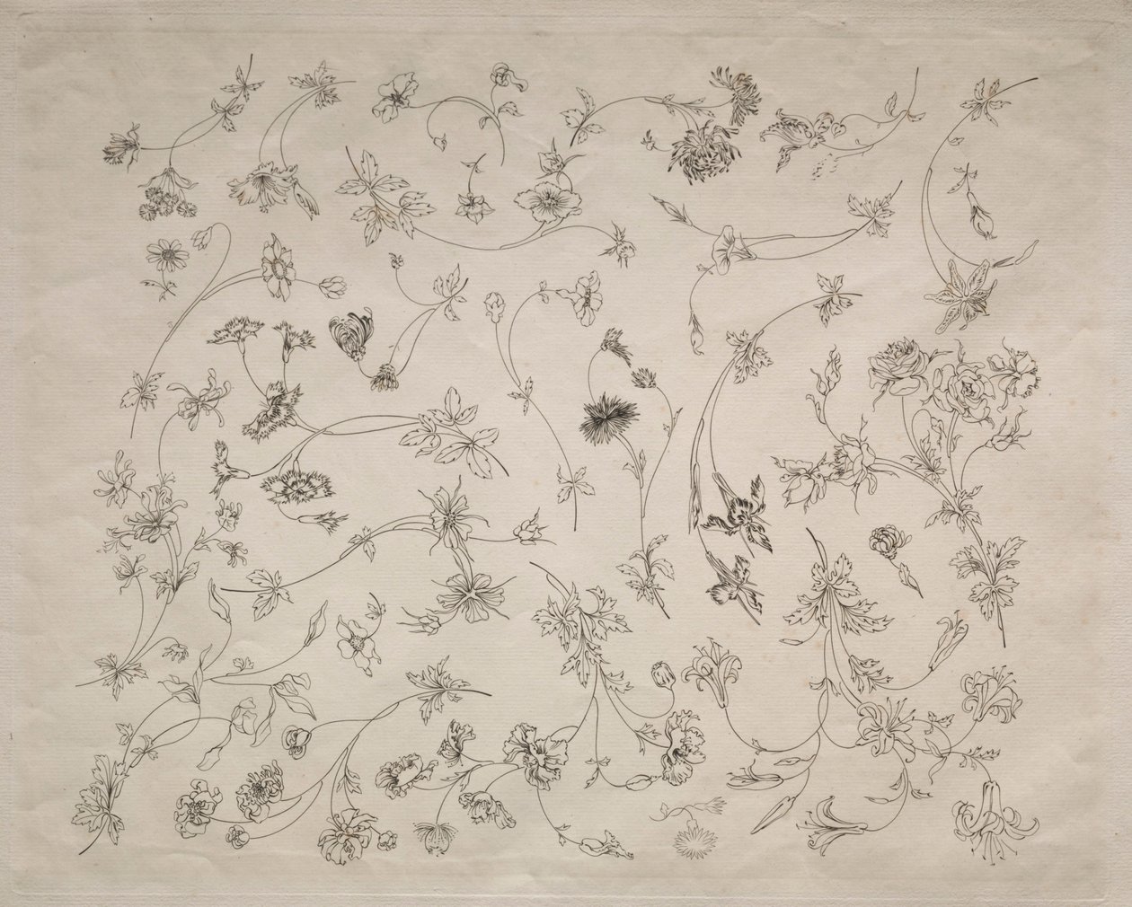  by Felix Bracquemond