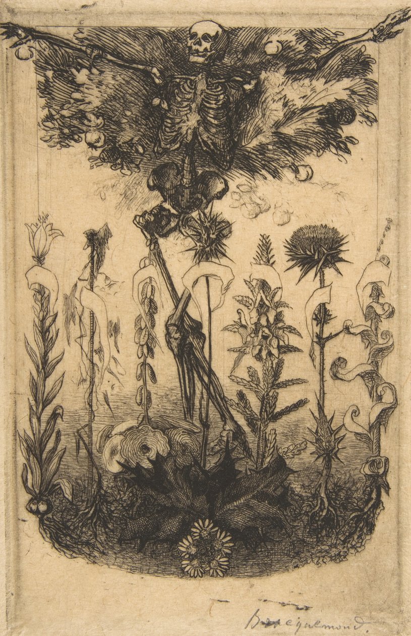Kötülüğün Çiçekleri, 1857 için ön yazı. by Felix Bracquemond