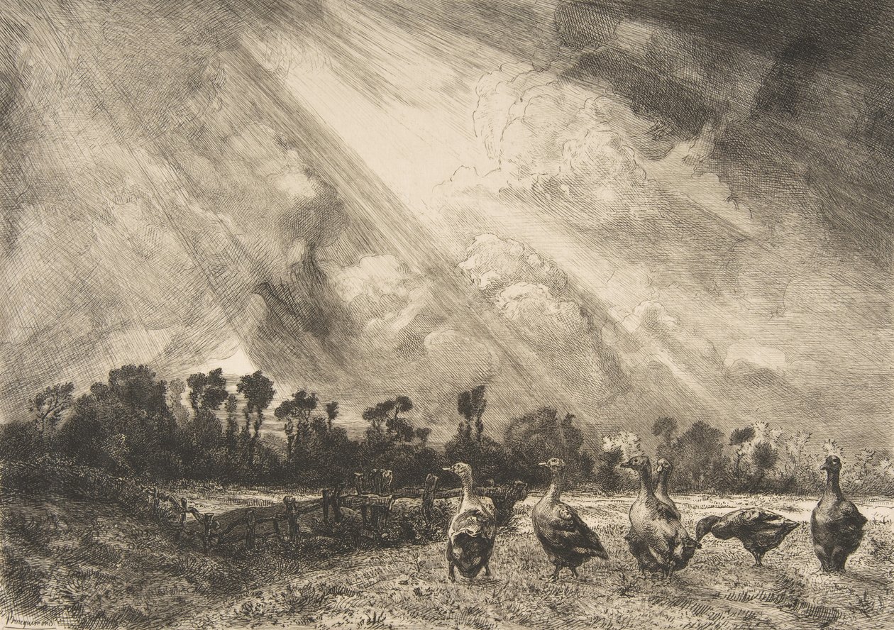 Fırtına Bulutu, 1882-84. by Felix Bracquemond