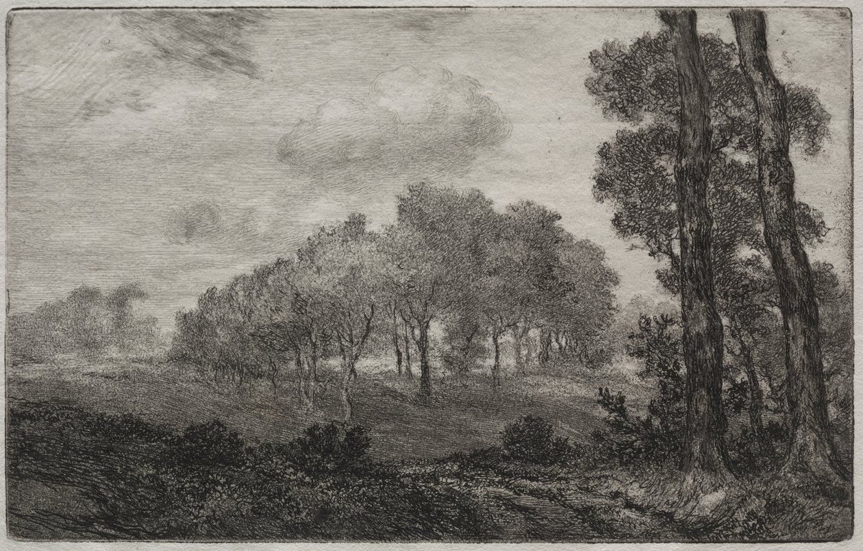 Fransızcadan sonra manzara by Felix Bracquemond