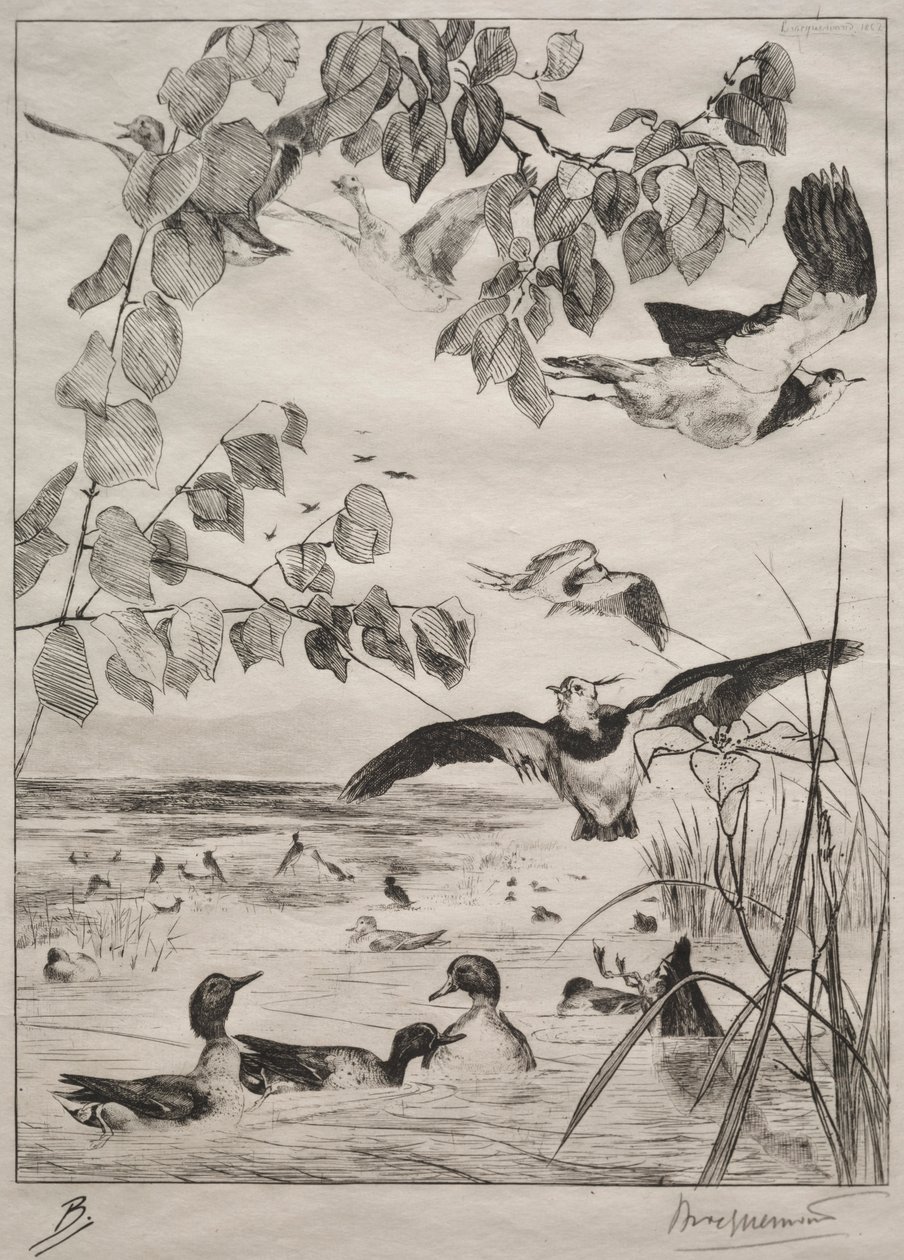Lapwings ve Teals, 1862. by Felix Bracquemond