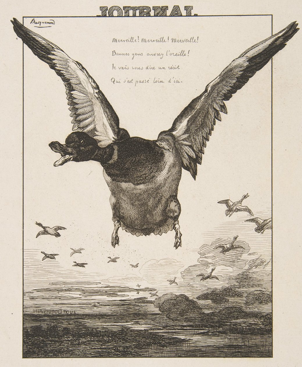 Ördek, 1856. by Felix Bracquemond