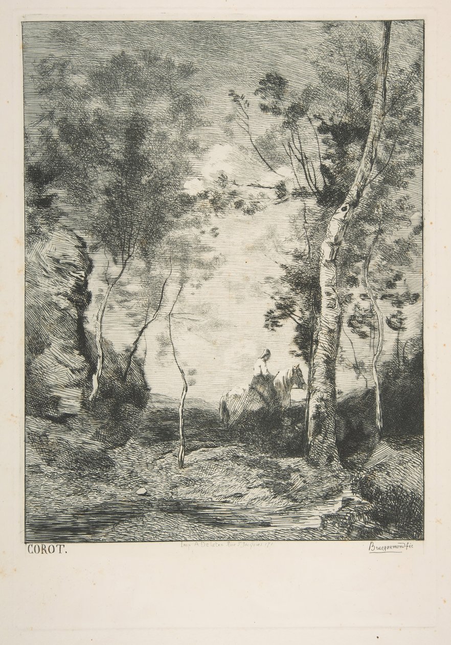 Beyaz At, 1858. by Felix Bracquemond