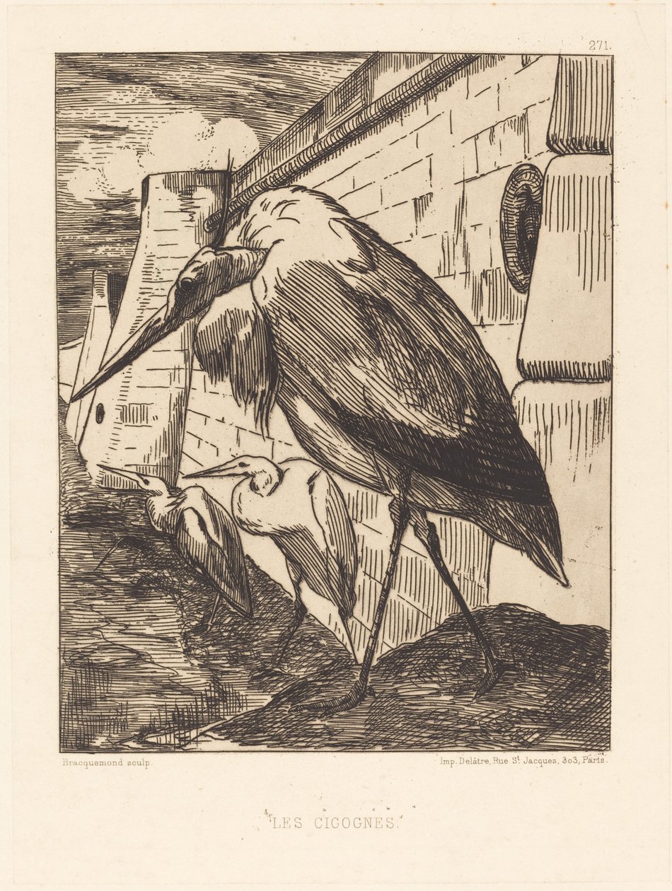 Leylekler by Felix Bracquemond