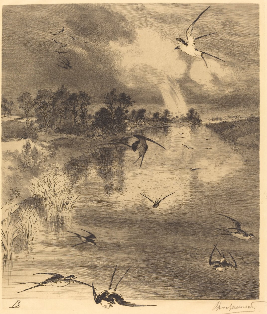 Les Hirondelles (Kırlangıçlar) by Felix Bracquemond