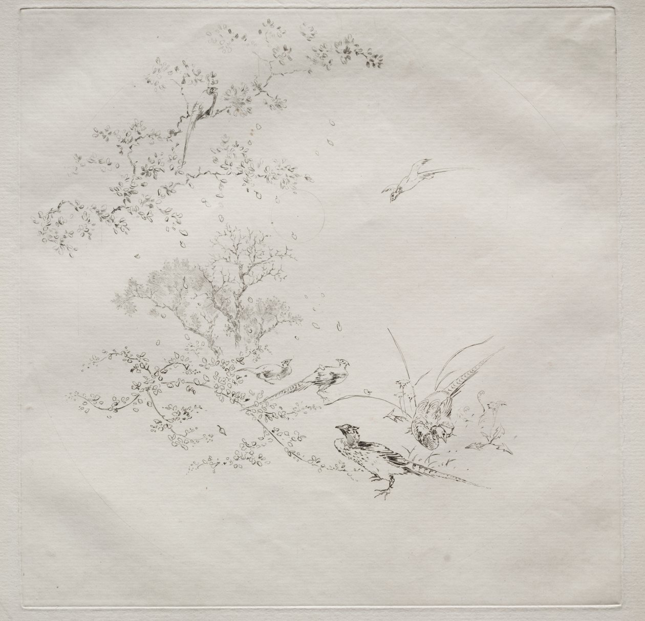 Paris Servisi (Haviland servisi) by Felix Bracquemond