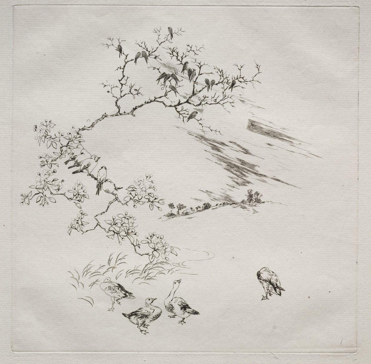 Paris Servisi (Haviland servisi): Gece (no. 7) by Felix Bracquemond