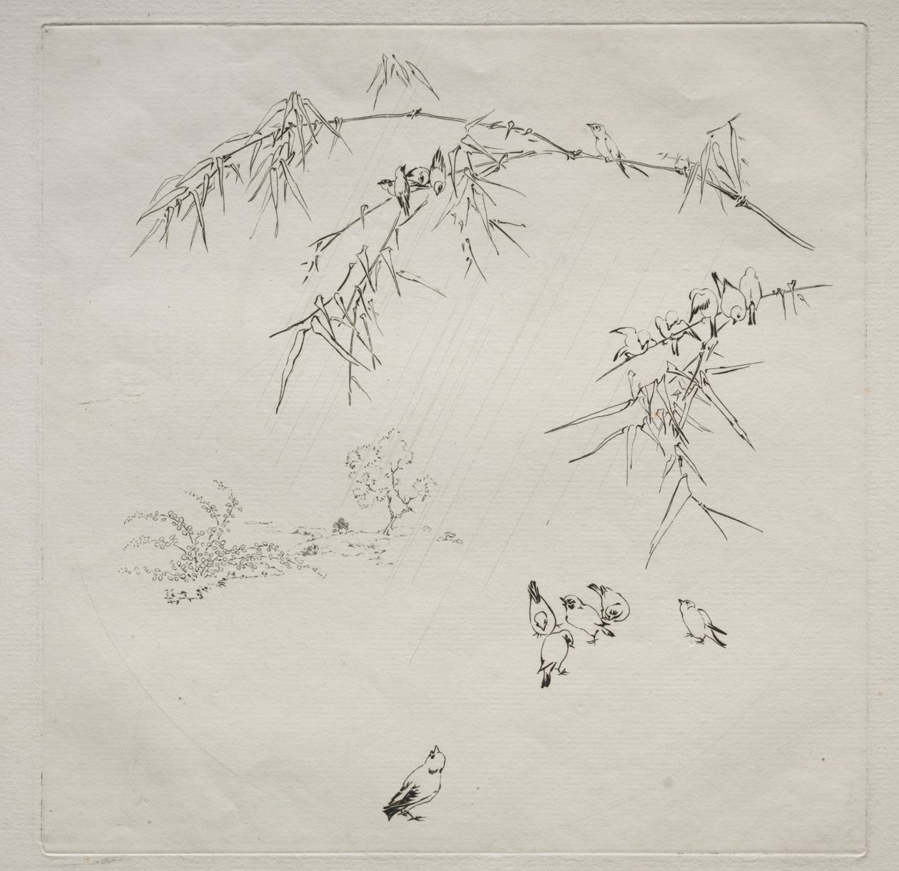 Paris Servisi (Haviland servisi): Rain (no. 10) by Felix Bracquemond