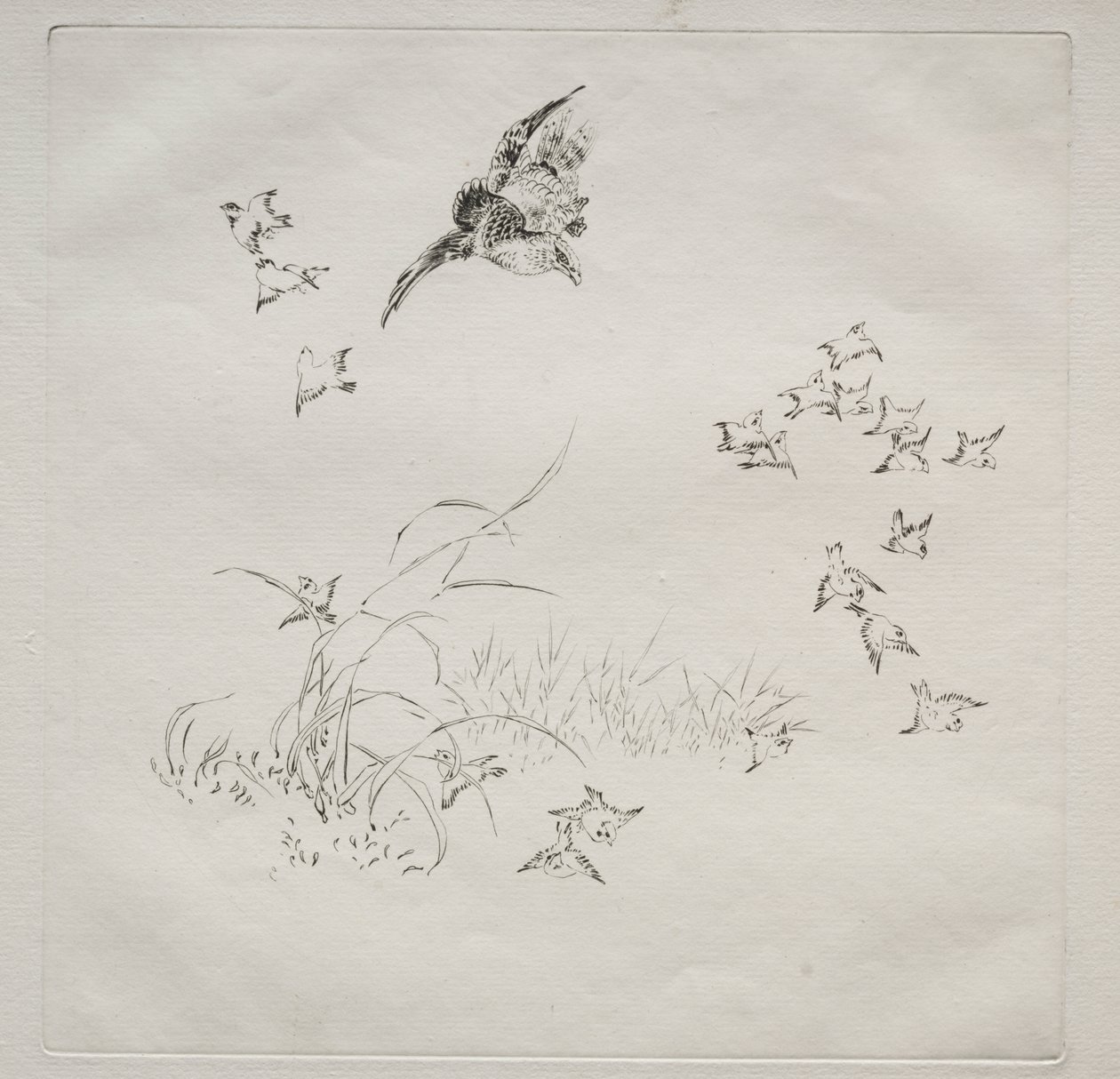 Paris Servisi (Haviland servisi): Terör (no. 4) by Felix Bracquemond
