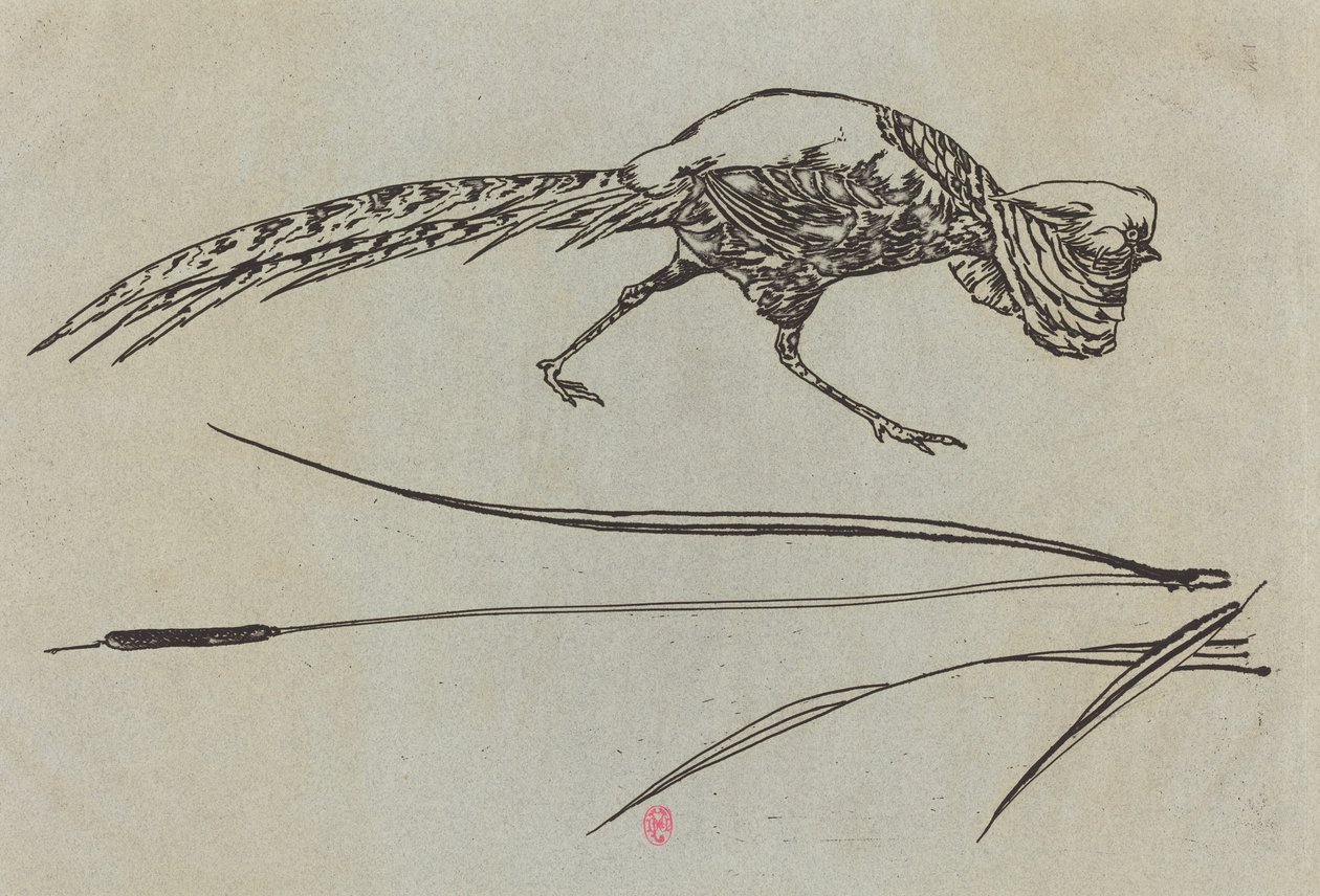 Sülün by Felix Bracquemond