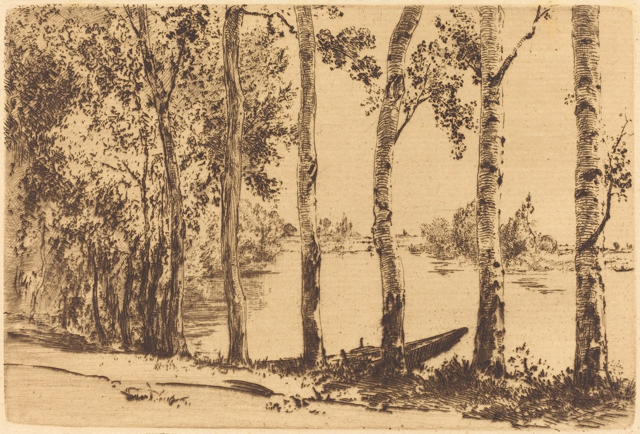 Seine Boyunca Kavaklar by Felix Bracquemond