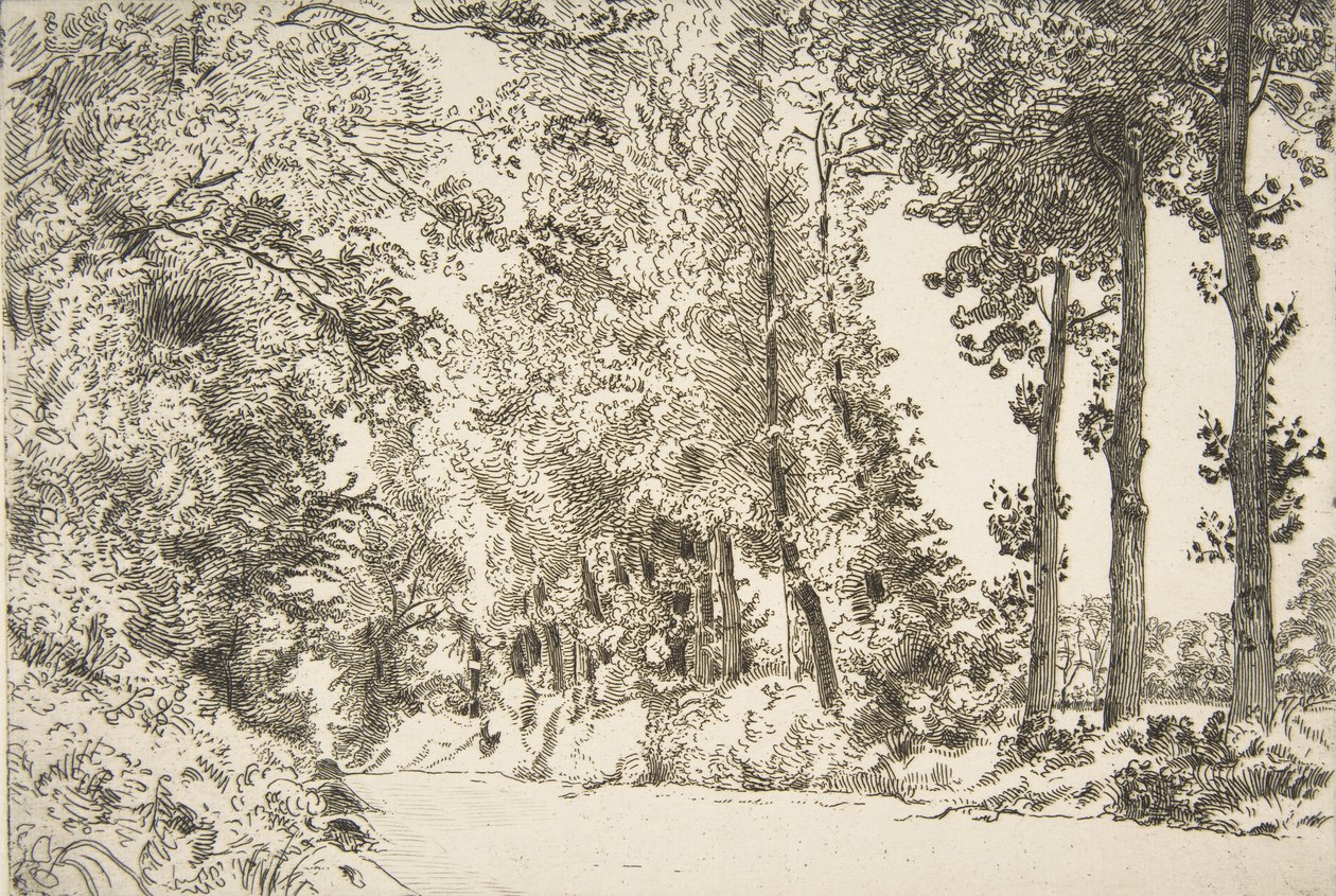 Rue des Bruyères, Sevr
