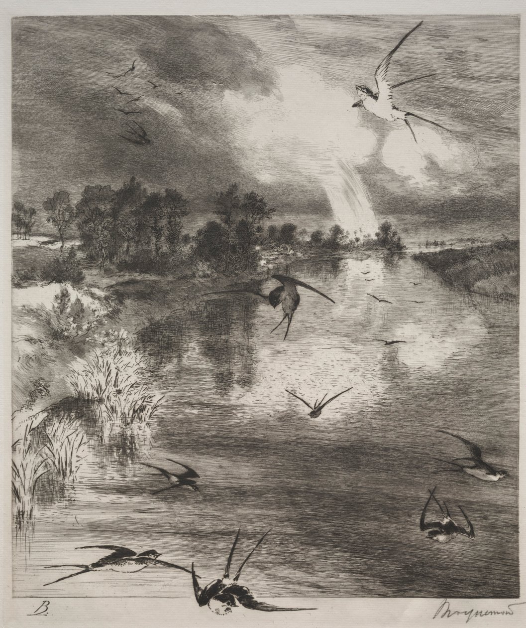 Kırlangıçlar, 1882. by Felix Bracquemond
