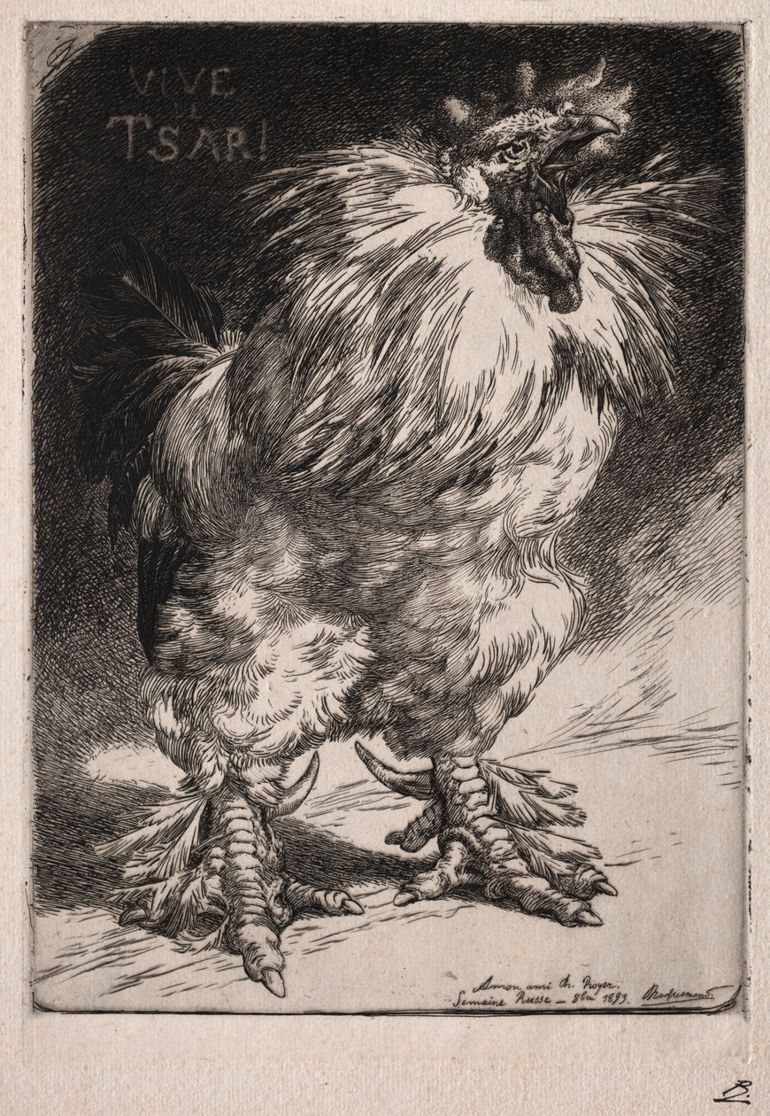 Fransız horoz by Felix Bracquemond