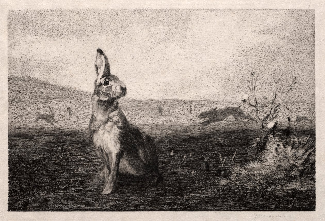 A. de Balleroy