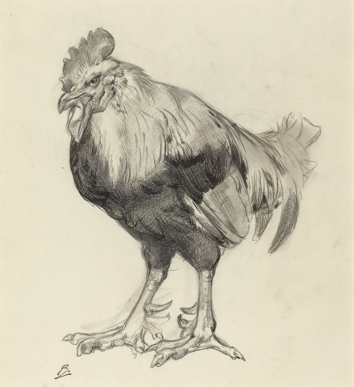 eski horoz by Felix Bracquemond