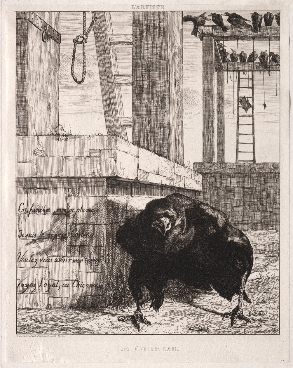 Kuzgun by Felix Bracquemond
