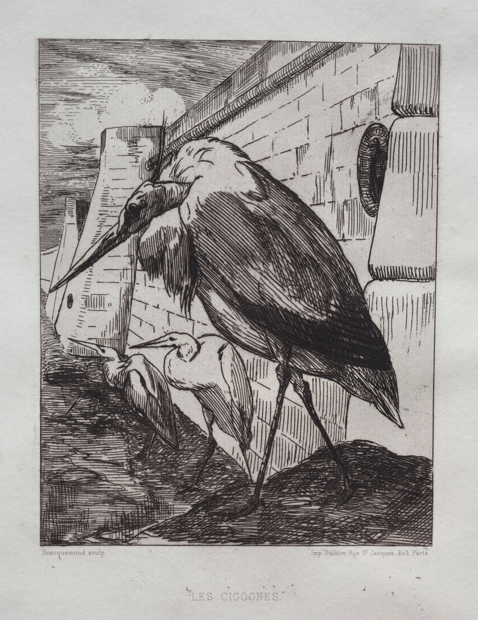 Leylekler by Felix Bracquemond