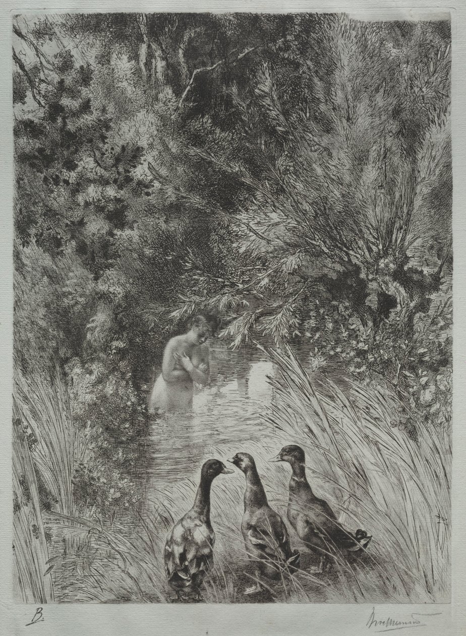 Sürpriz Ördekler. by Felix Bracquemond