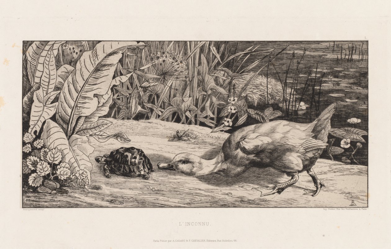  by Felix Bracquemond